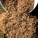 fenugreek-seed.jpg