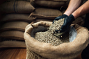 Washed Yirgacheffe Coffee (Grade 1) 60 KG/132 lb